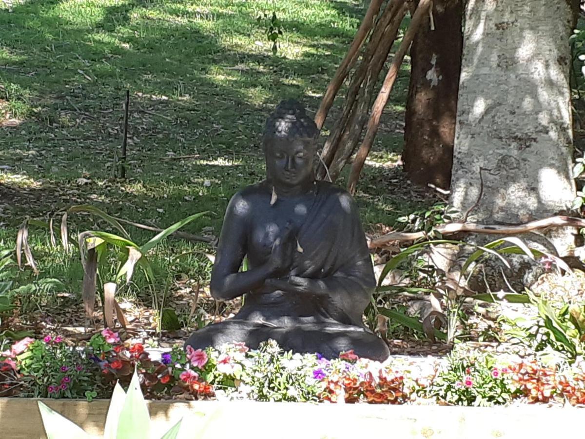 Mapleton Peaceful Provence Bnb Buitenkant foto